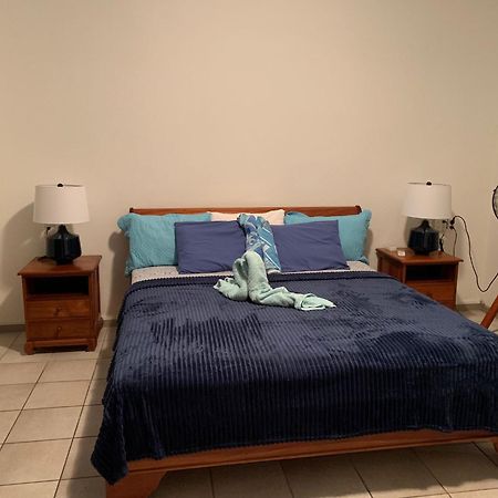 Royal Palm Resort Curacao Geweldig Zeezicht Willemstad Eksteriør billede