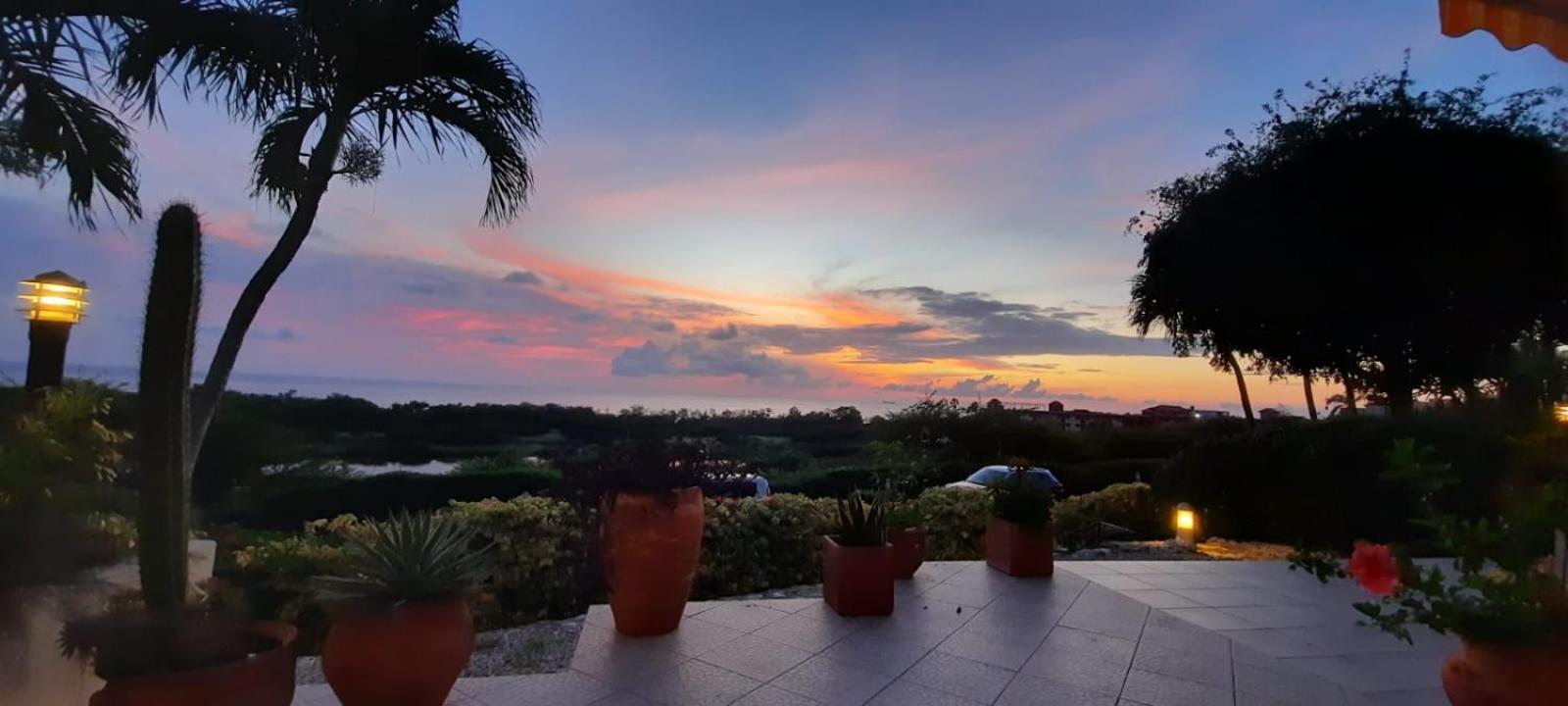 Royal Palm Resort Curacao Geweldig Zeezicht Willemstad Eksteriør billede