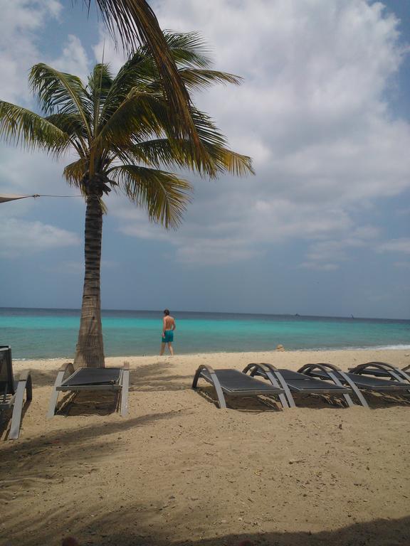 Royal Palm Resort Curacao Geweldig Zeezicht Willemstad Eksteriør billede
