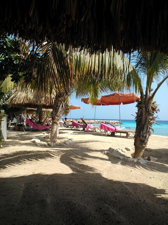 Royal Palm Resort Curacao Geweldig Zeezicht Willemstad Eksteriør billede